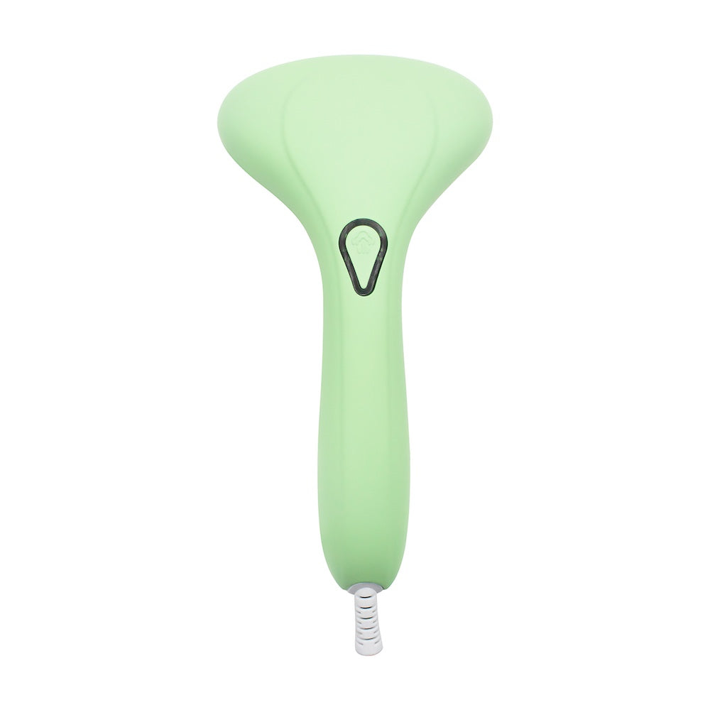 Garment Steamer Kit - Mint
